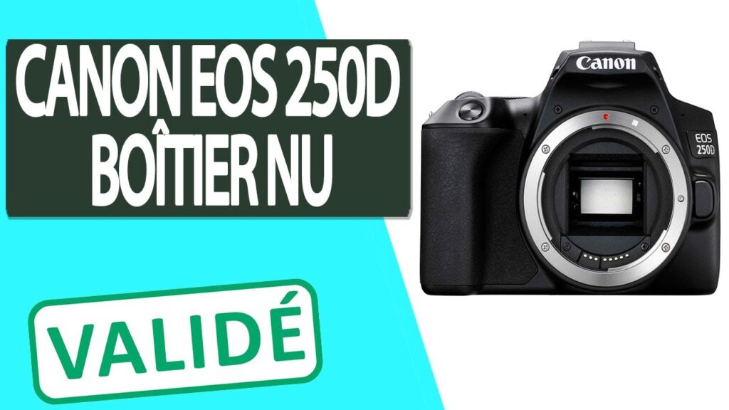 Découvrez les secrets de la canon eos 250d : un guide complet pour maîtriser votre reflex numérique
