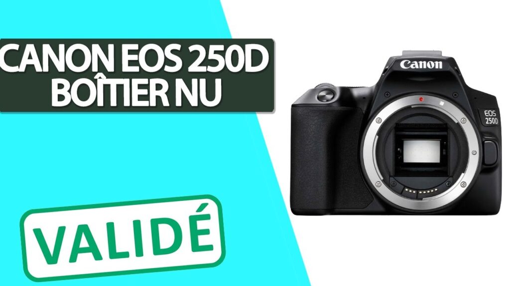 Découvrez les secrets du Canon EOS 250D : un réflex numérique à la portée de tous