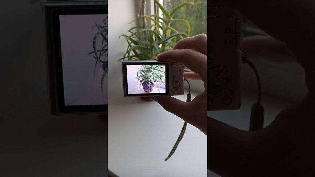 Découvrez la rareté du Sony Cyber-shot DSC-W320 : un bijou vintage à 14,1 MP pour capturer l’essence du moment